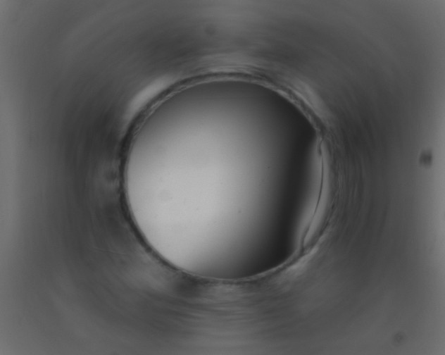 X0000093091164200710101511