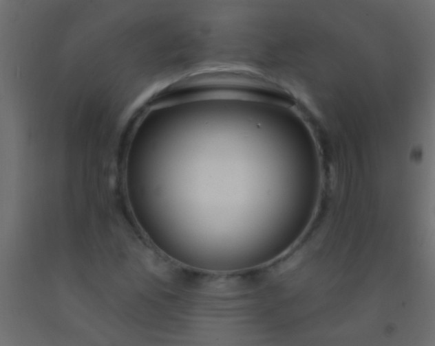 X0000093091165200710101511