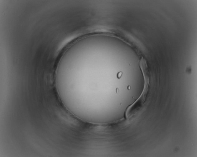 X0000093091166200710101511