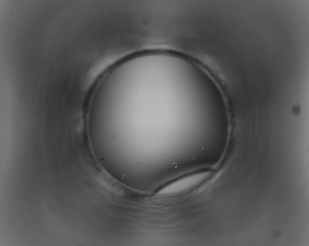 X0000093091167200710101511