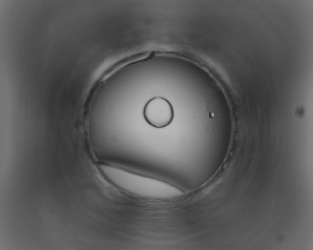 X0000093091168200710101511