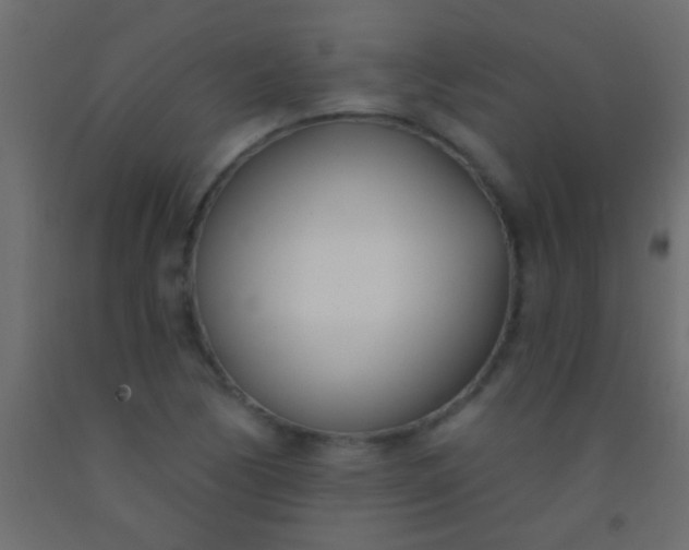 X0000093091170200710101511