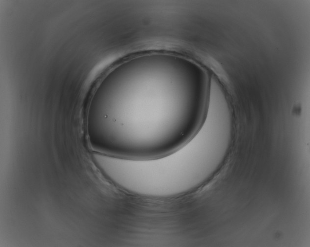 X0000093091172200710101511