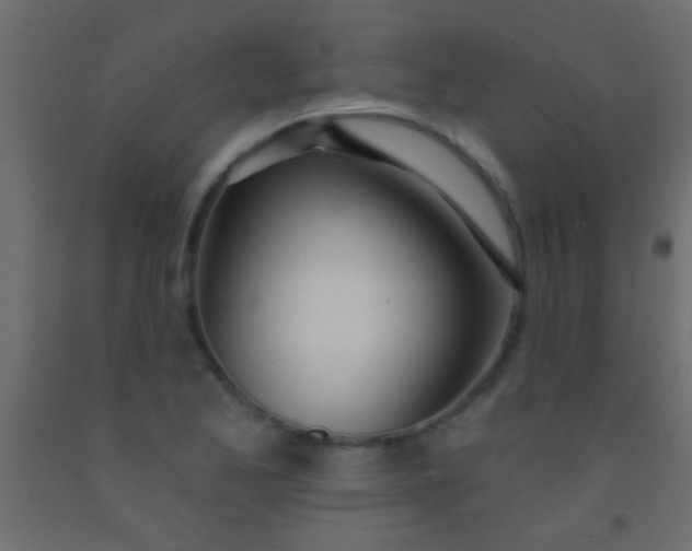 X0000093091173200710101511