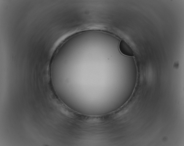 X0000093091174200710101511