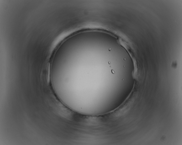 X0000093091175200710101511