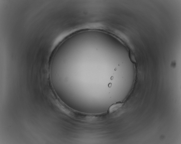 X0000093091176200710101511