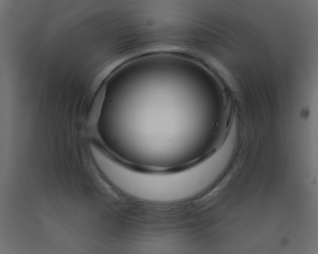 X0000093091177200710101511