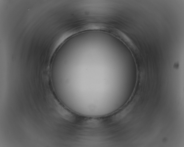 X0000093091178200710101511