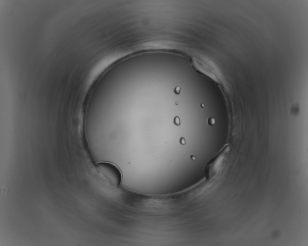 X0000093091179200710101511