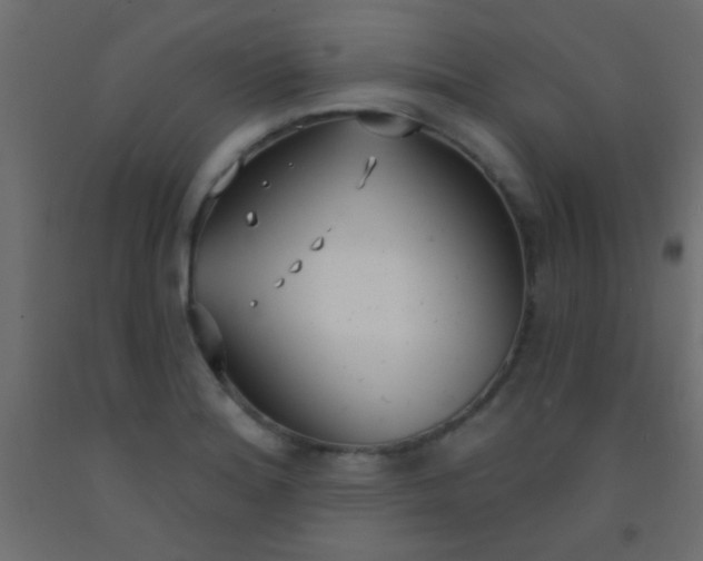 X0000093091180200710101511