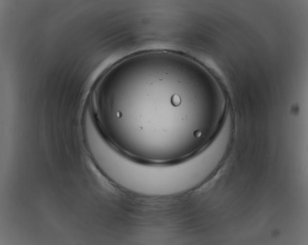 X0000093091181200710101511