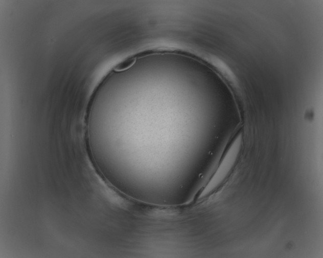 X0000093091183200710101511