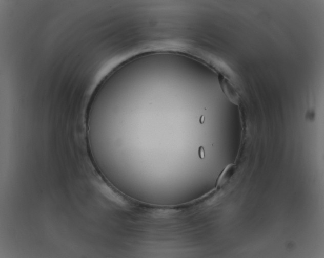 X0000093091184200710101511