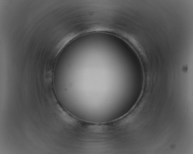 X0000093091185200710101511