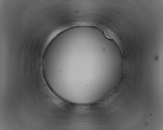 X0000093091187200710101511