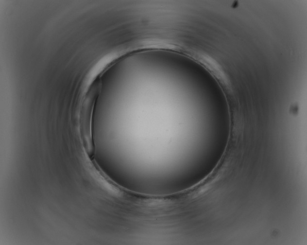 X0000093091188200710101511