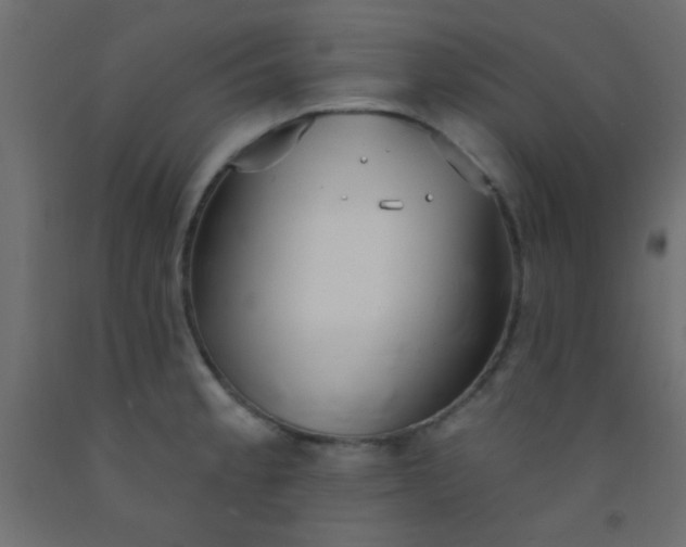 X0000093091189200710101511