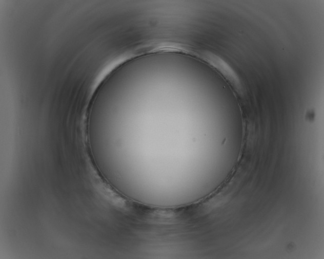 X0000093091190200710101511