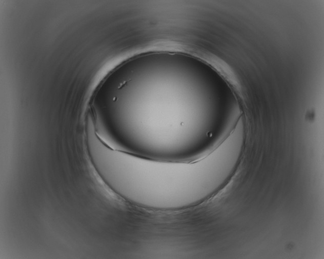 X0000093091192200710101511