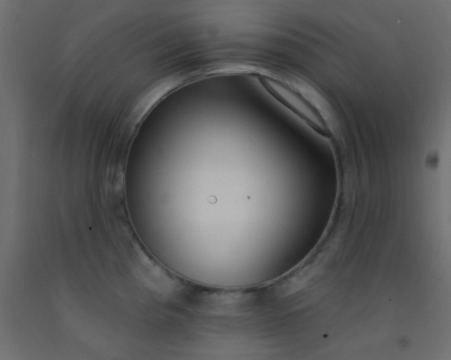 X0000093091193200710101511