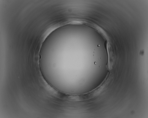 X0000093091194200710101510