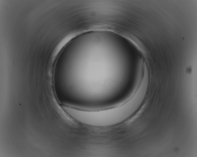 X0000093091196200710101510