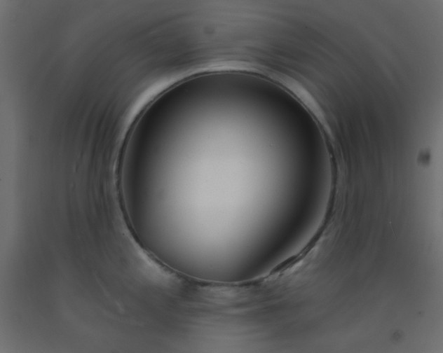 X0000093091197200710101510