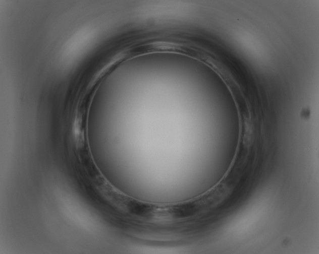 X0000093091198200710101510