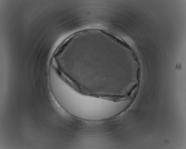 X0000093091200200710101510