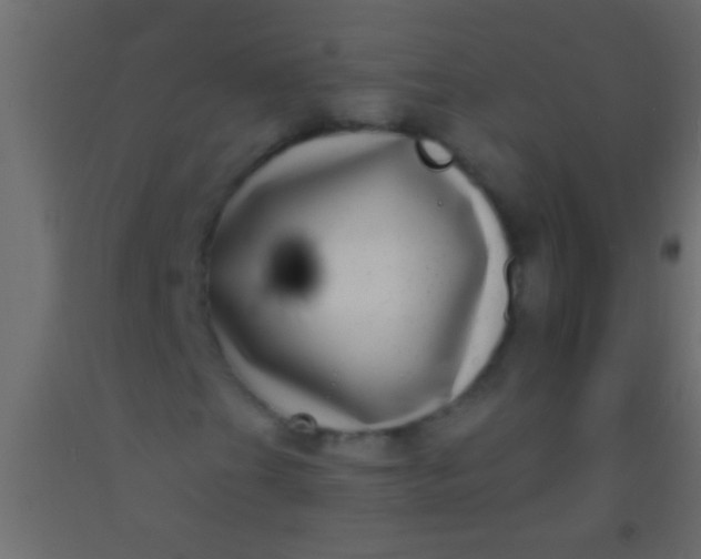 X0000093091201200710101510