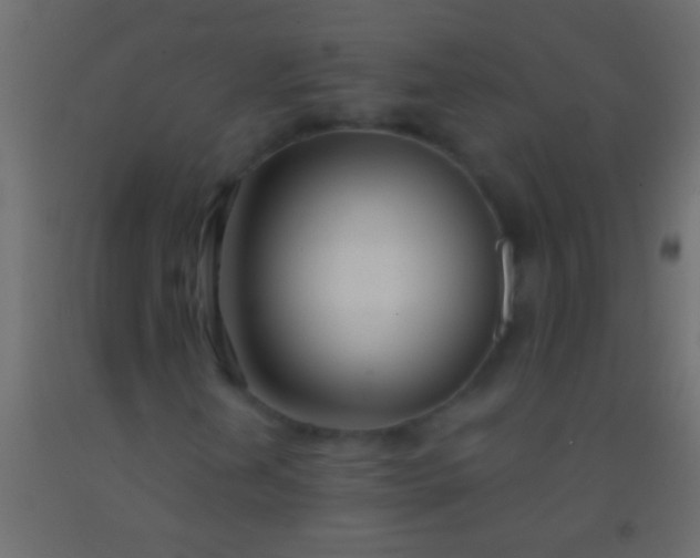 X0000093091202200710101510