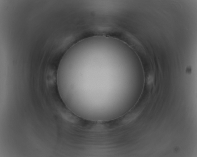 X0000093091204200710101510