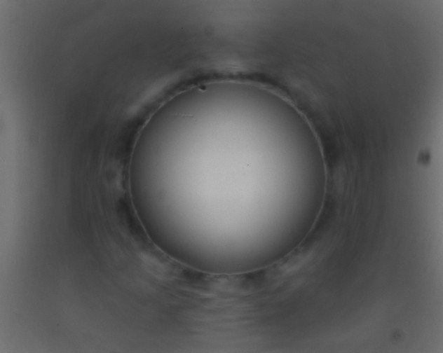 X0000093091205200710101510