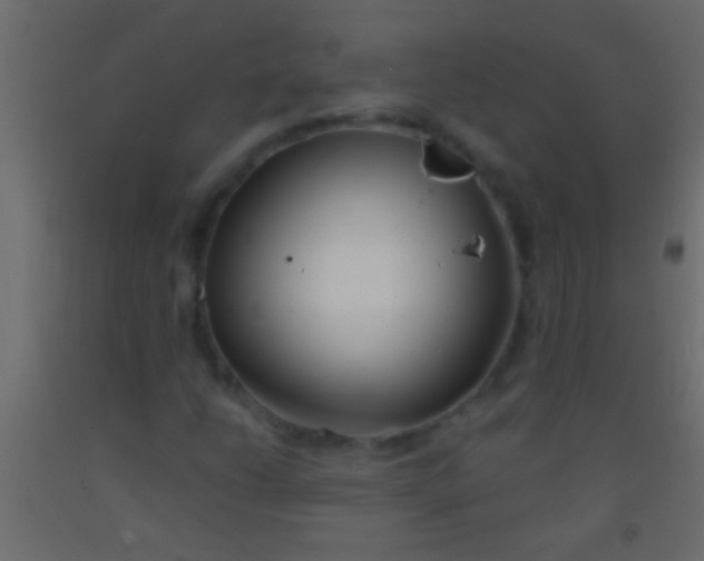 X0000093091206200710101510