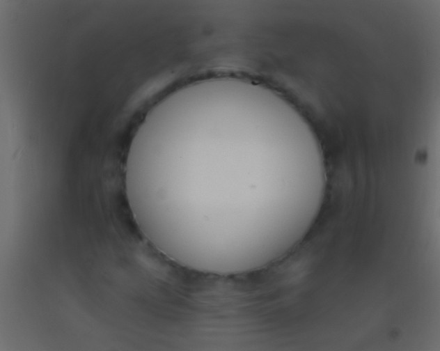 X0000093091207200710101510