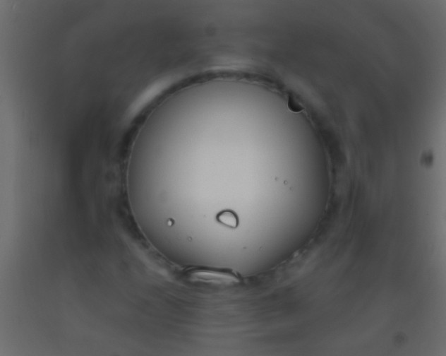 X0000093091208200710101510