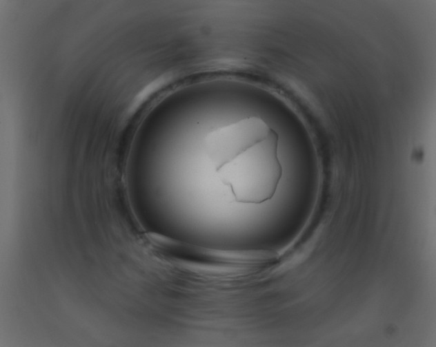 X0000093091210200710101510