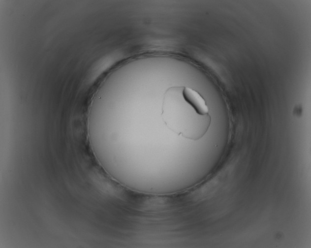 X0000093091211200710101510