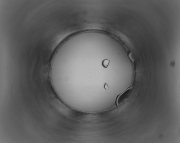 X0000093091212200710101510