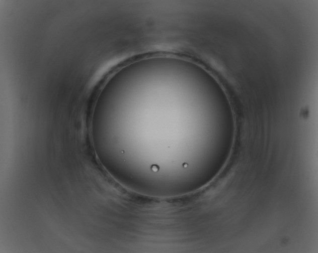 X0000093091214200710101510