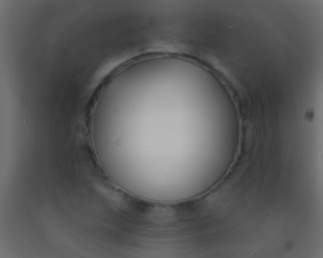 X0000093091215200710101510