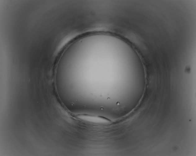 X0000093091216200710101510