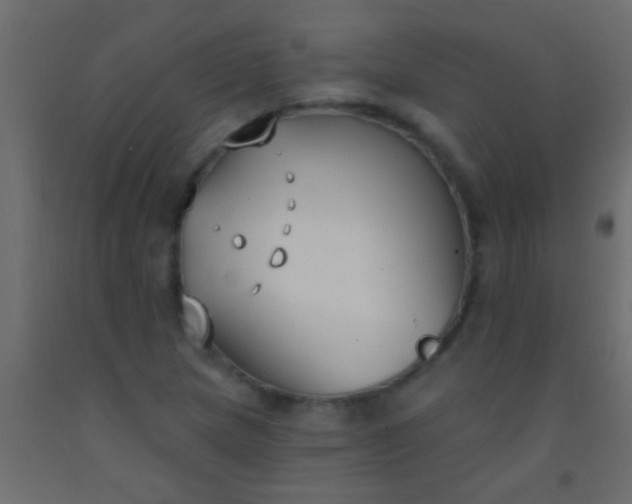 X0000093091217200710101510