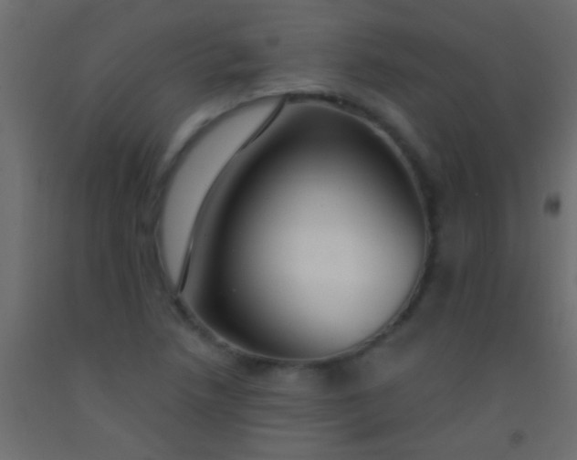 X0000093091218200710101510