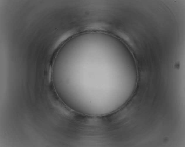 X0000093091219200710101510