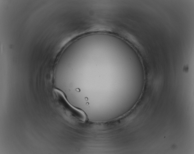 X0000093091220200710101510