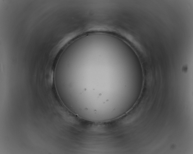 X0000093091221200710101510