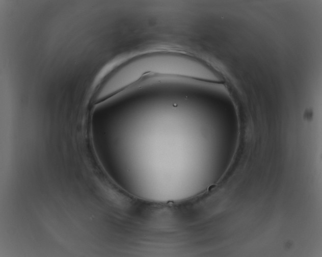 X0000093091222200710101510