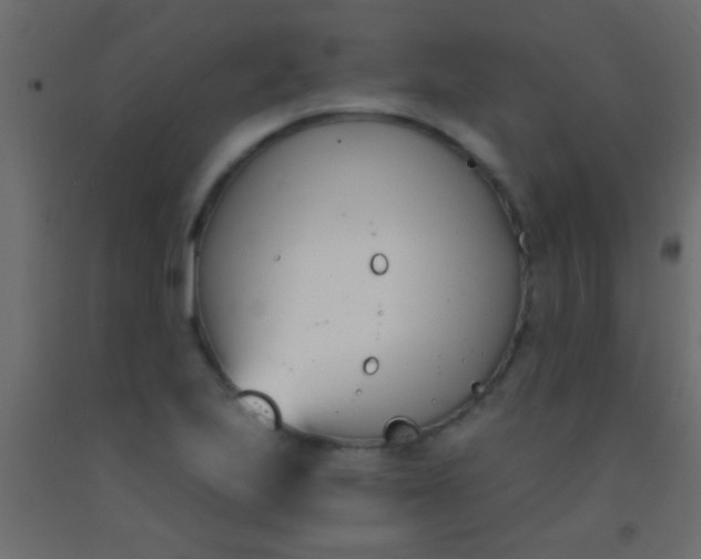 X0000093091223200710101510